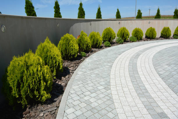 Best Best Driveway Pavers  in Machesney Park, IL